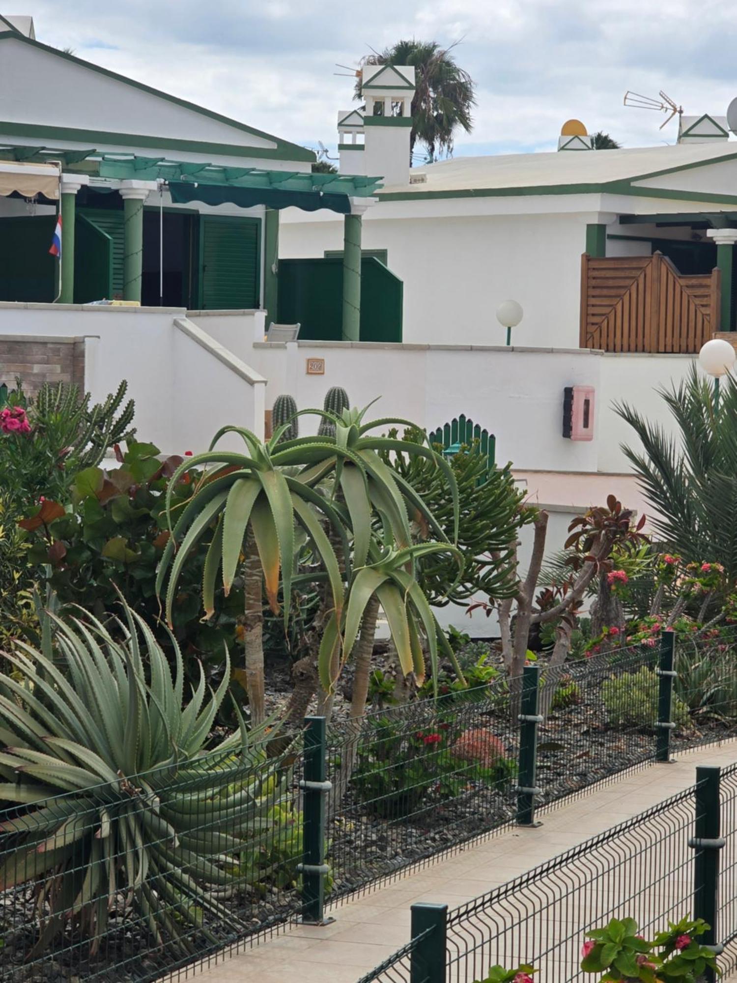 The Sunflower Maspalomas  Exterior photo
